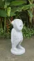 morepic-2